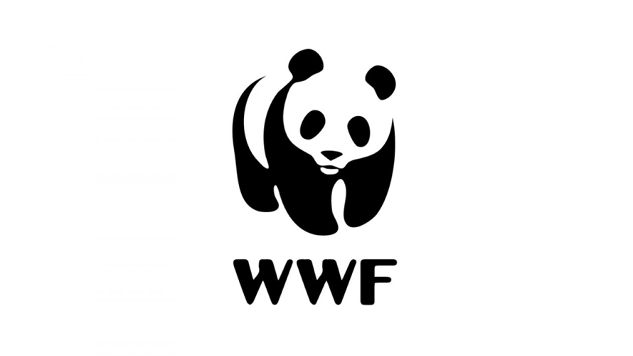 Investigación social WWF