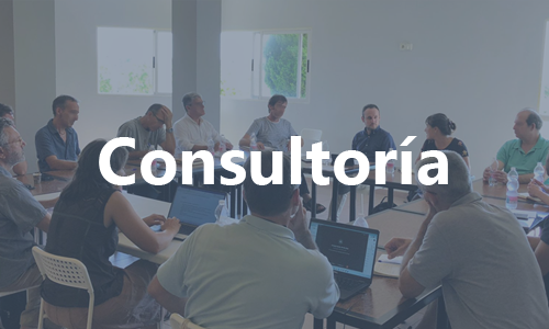 Consultoria